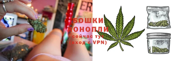 эйфоретик Вяземский