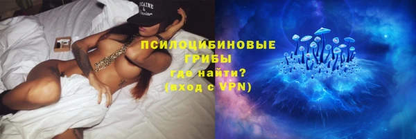 стаф Горнозаводск
