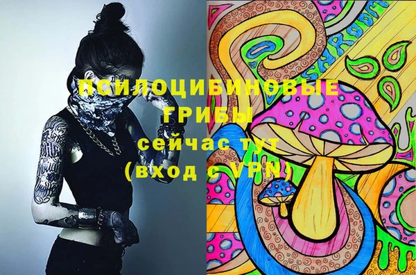 эйфоретик Горно-Алтайск
