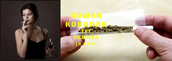 стаф Горнозаводск