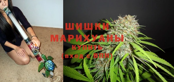стаф Горнозаводск