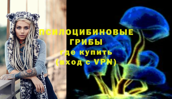 прущая мука Горняк